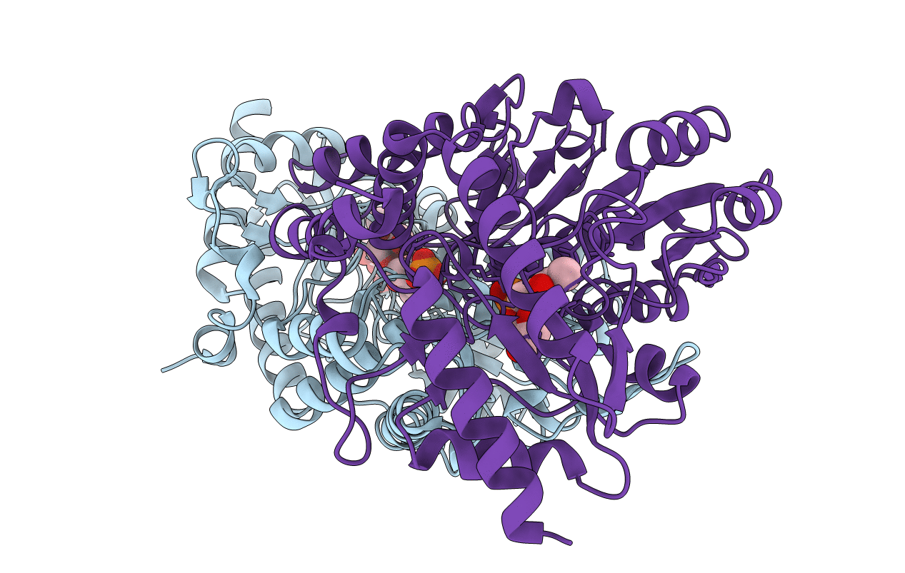 1T3I image