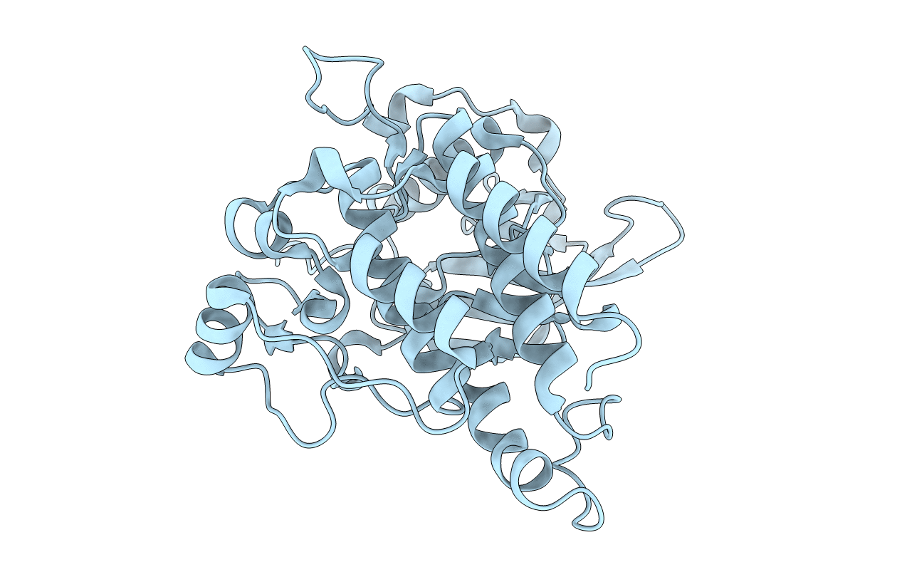 1T45 image