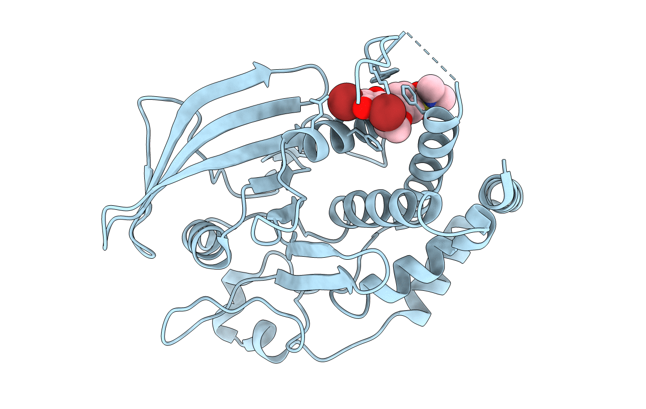 1T48 image