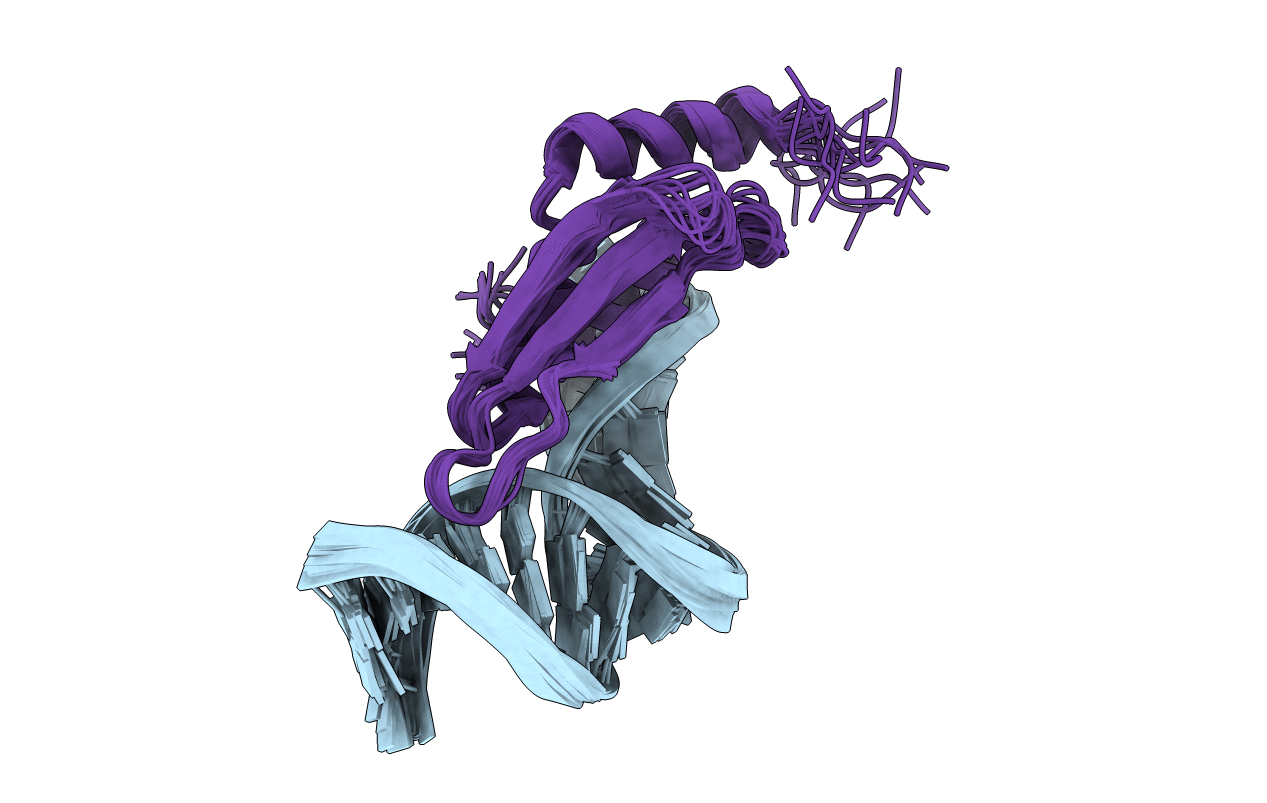 1T4L image
