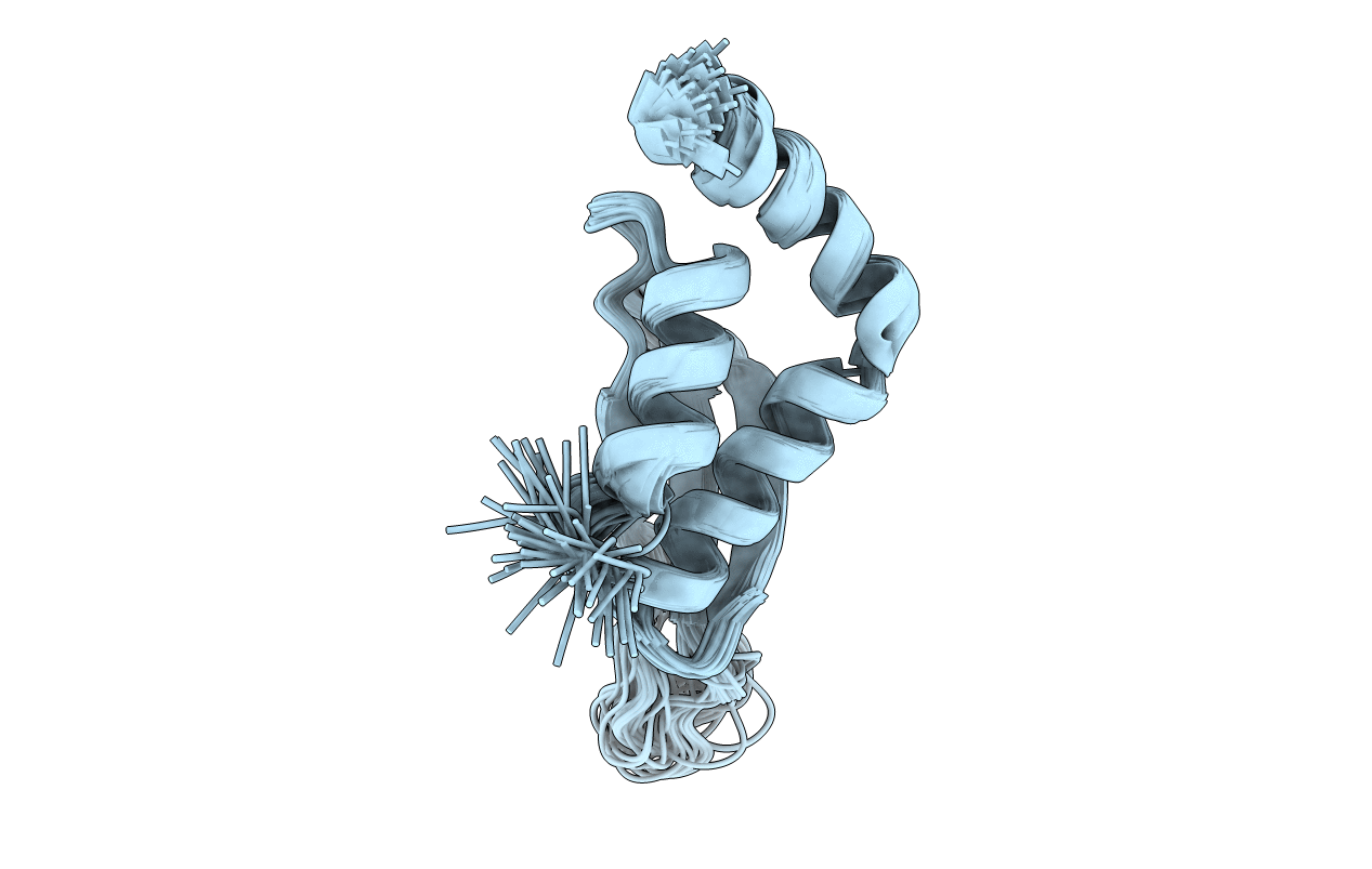 1T4N image