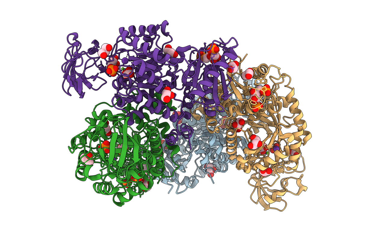 1T5A image