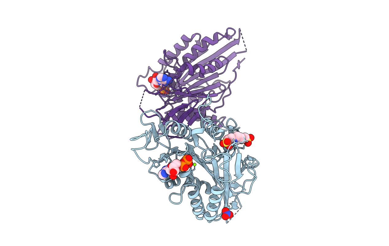 1T5C image