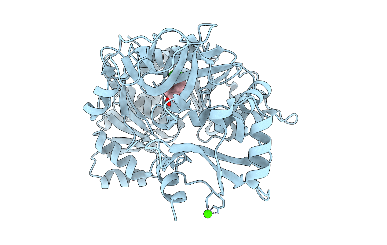 1T5D image