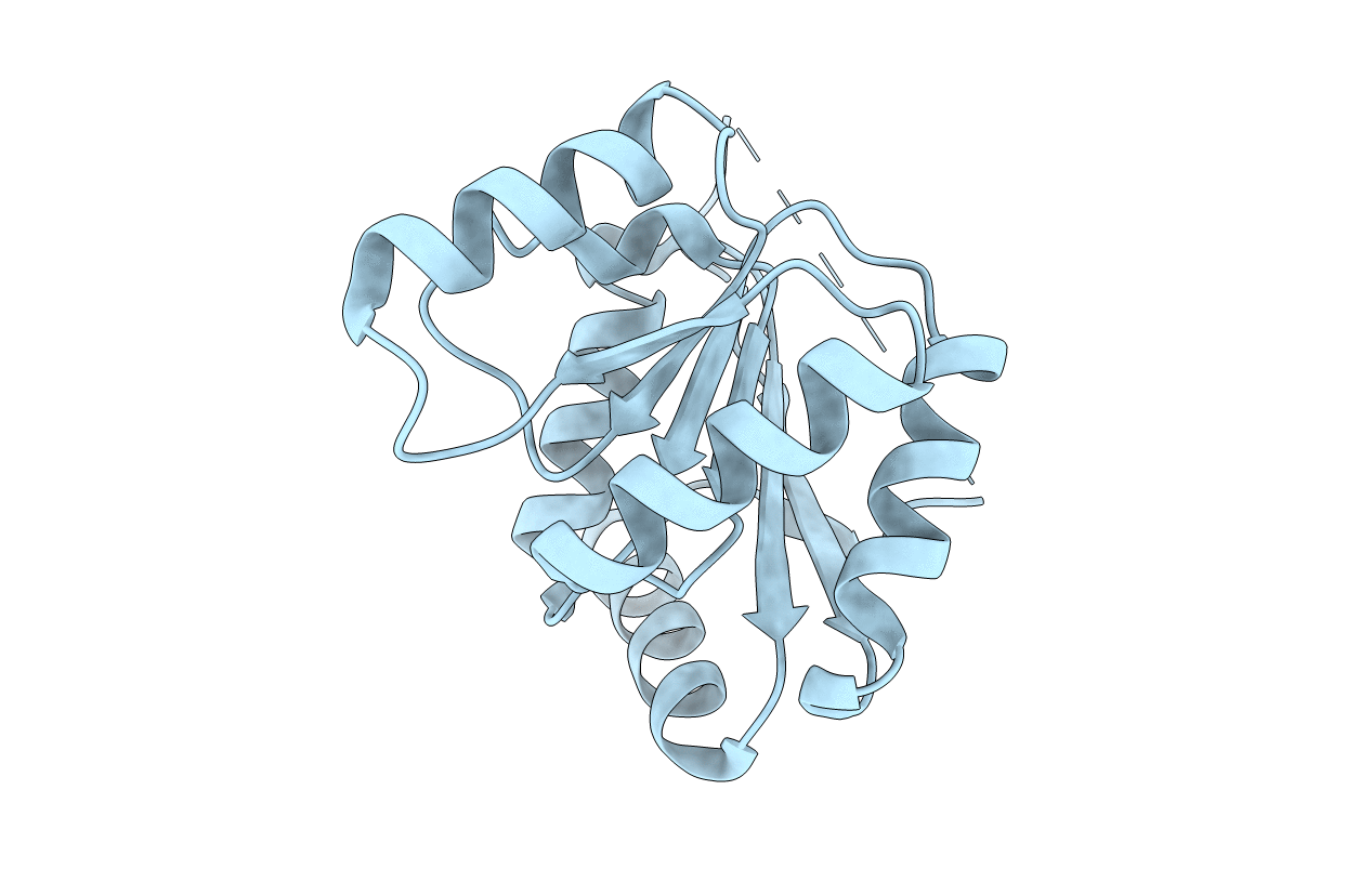 1T5I image