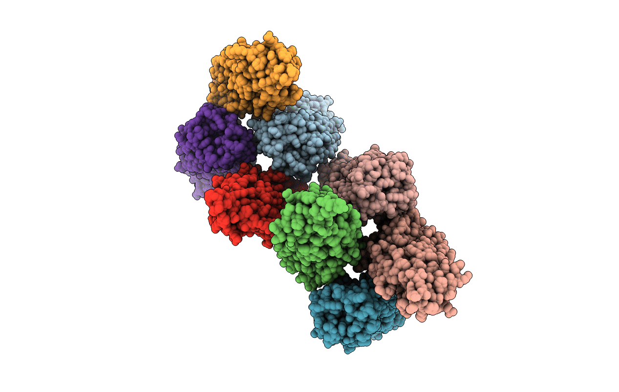 1T5R image