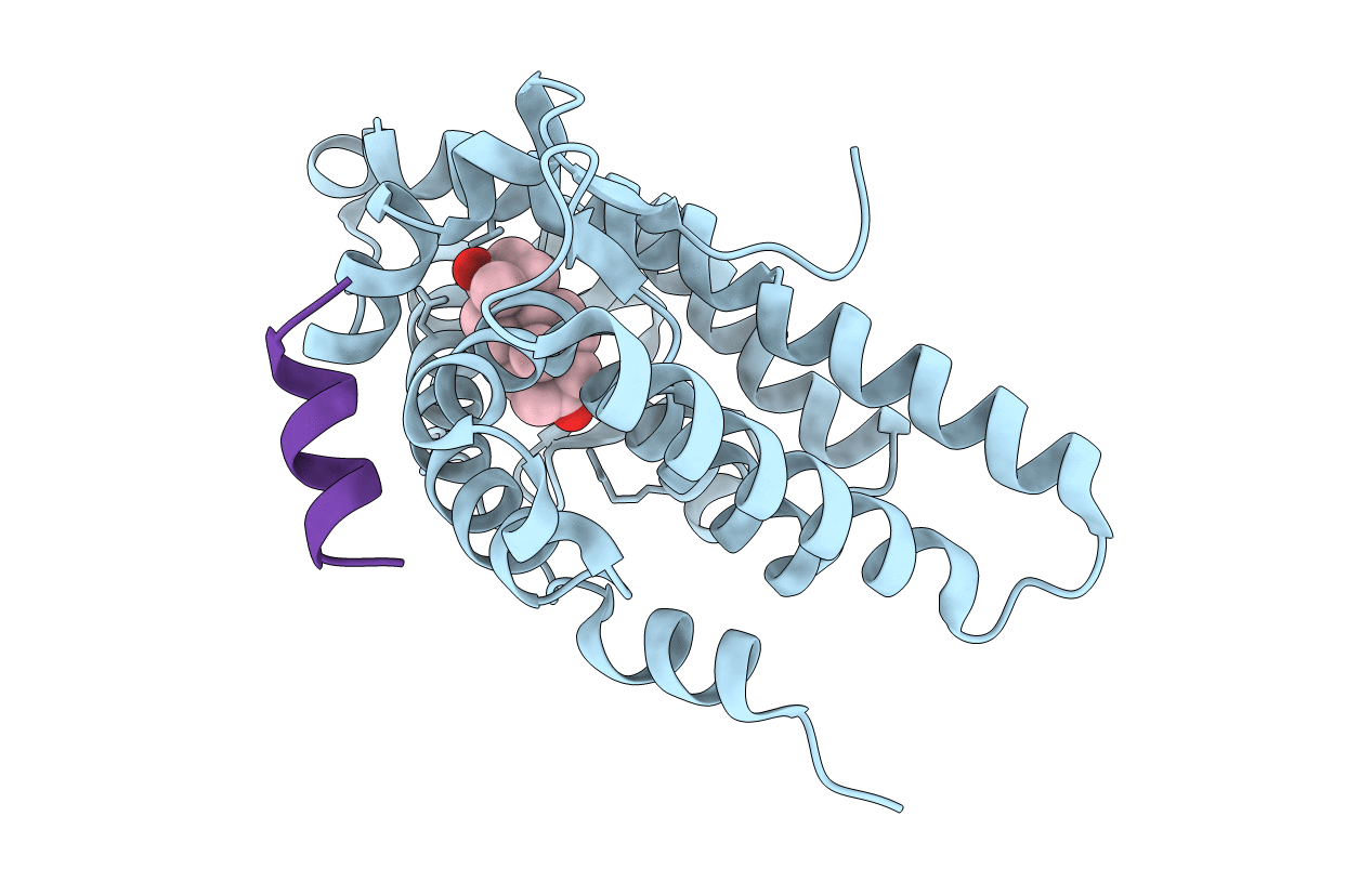 1T5Z image