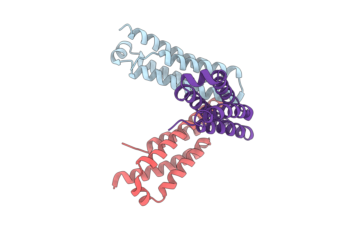 1T6I image