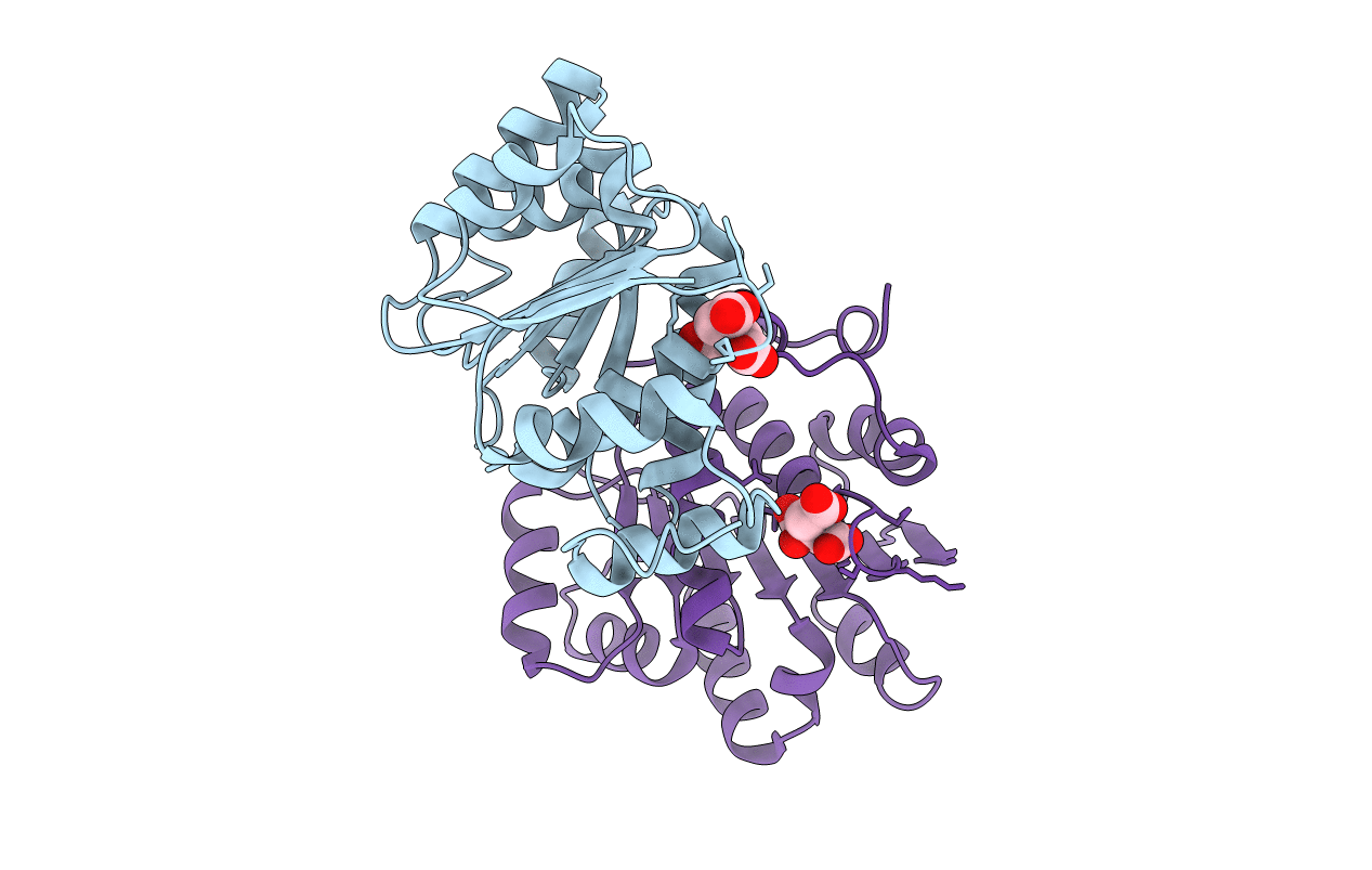 1T6N image