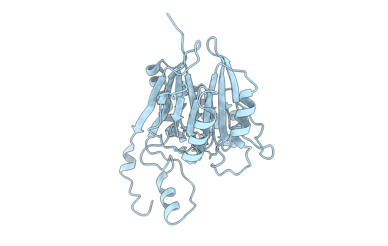 1T71 image