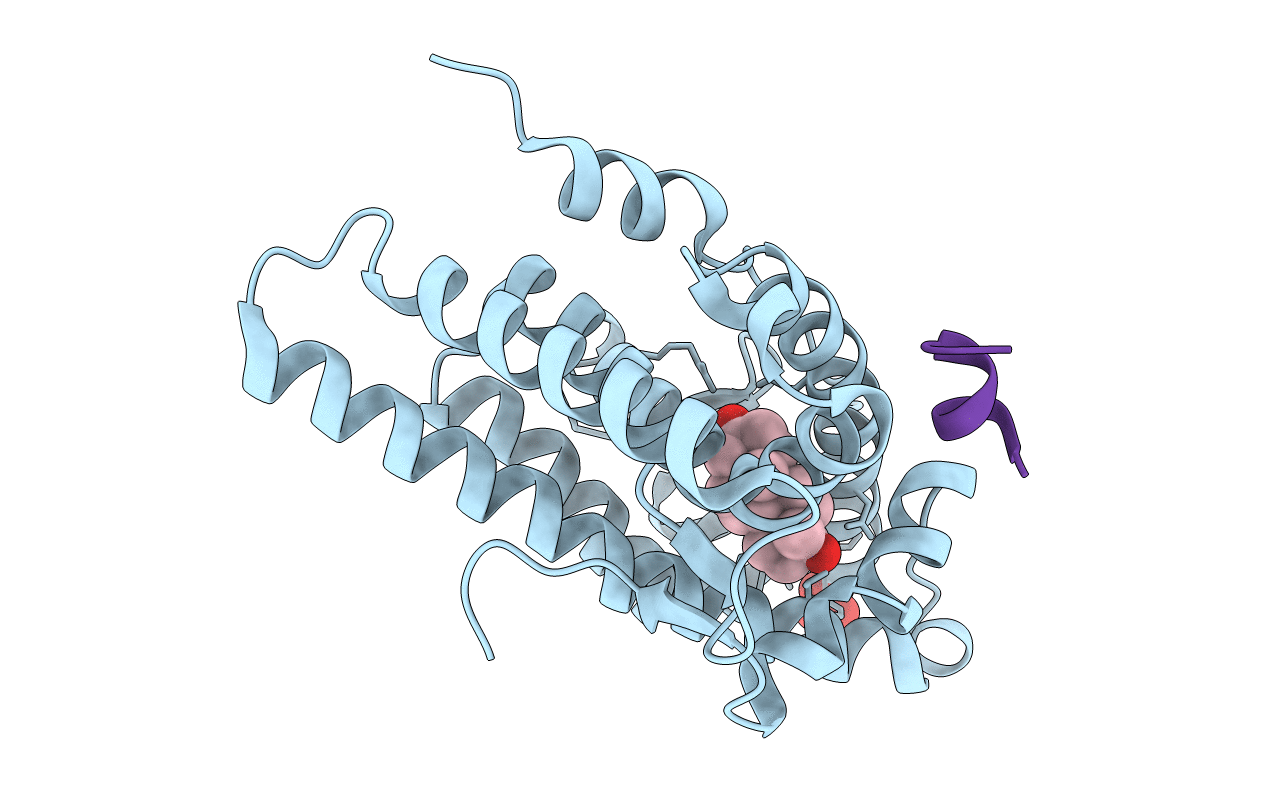 1T73 image