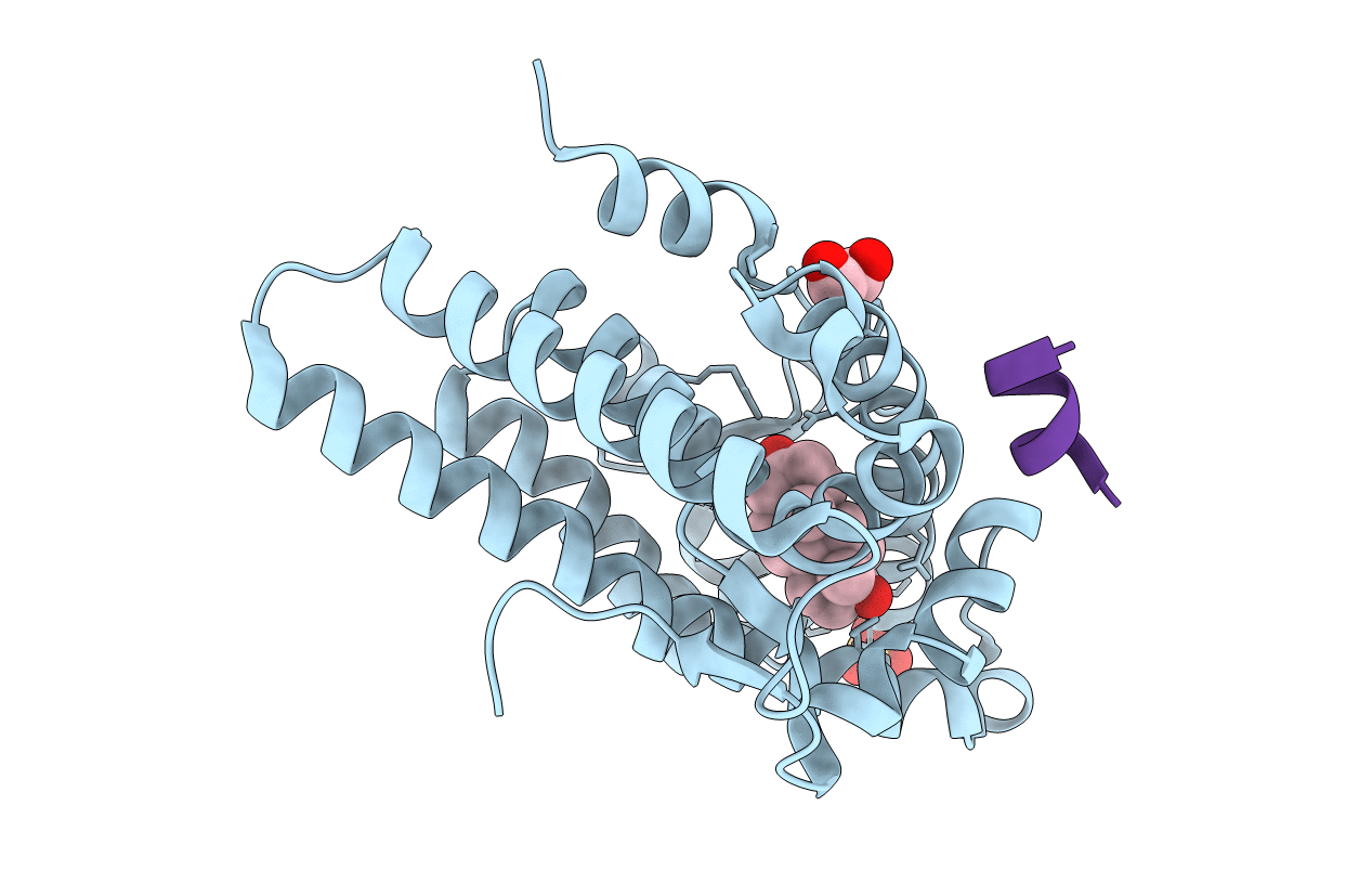 1T74 image