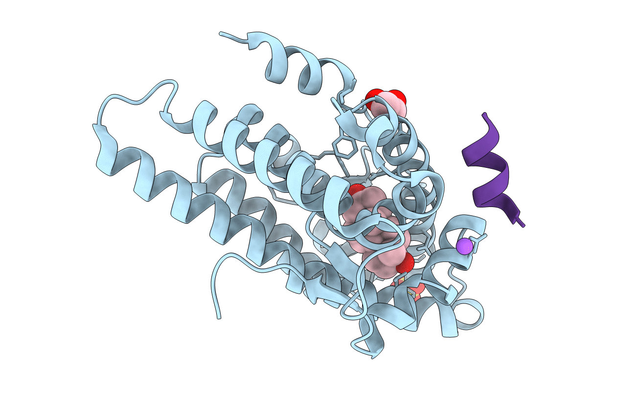 1T76 image