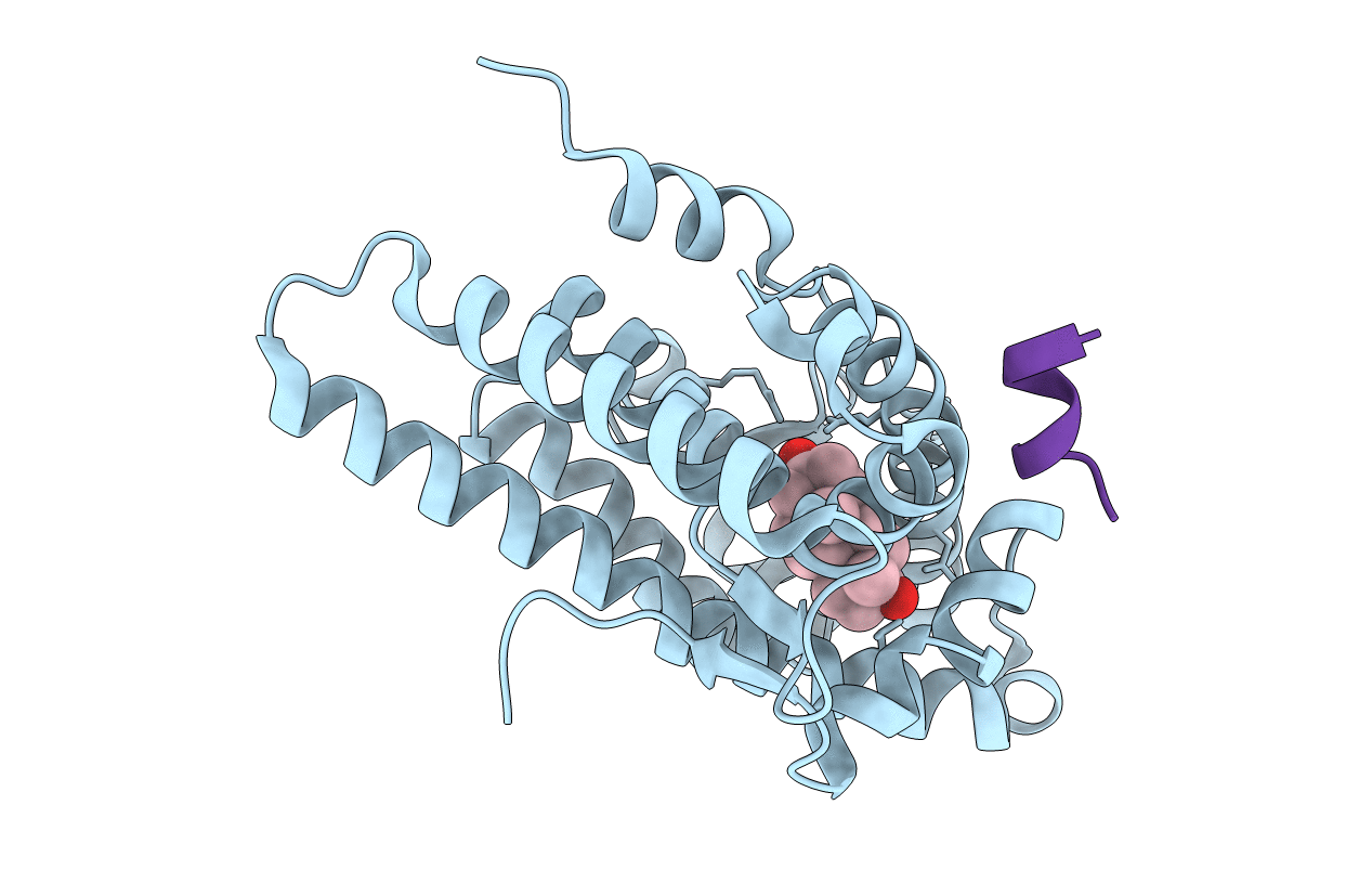 1T79 image