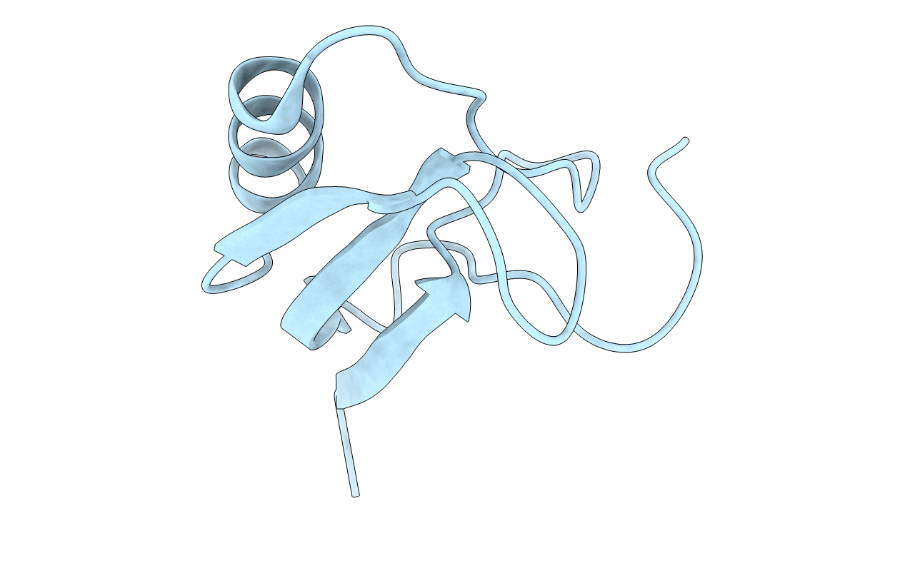 1T7A image