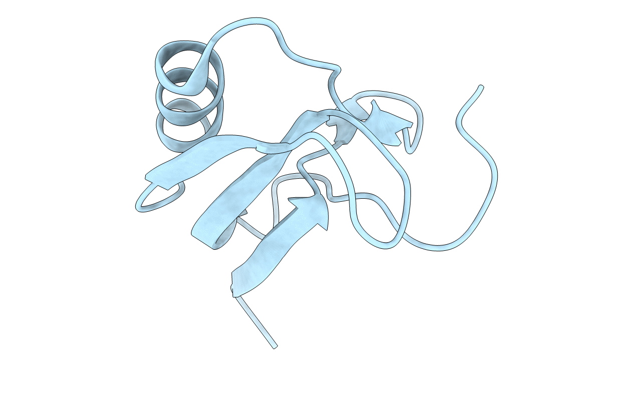 1T7B image