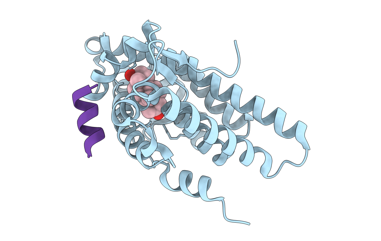 1T7R image