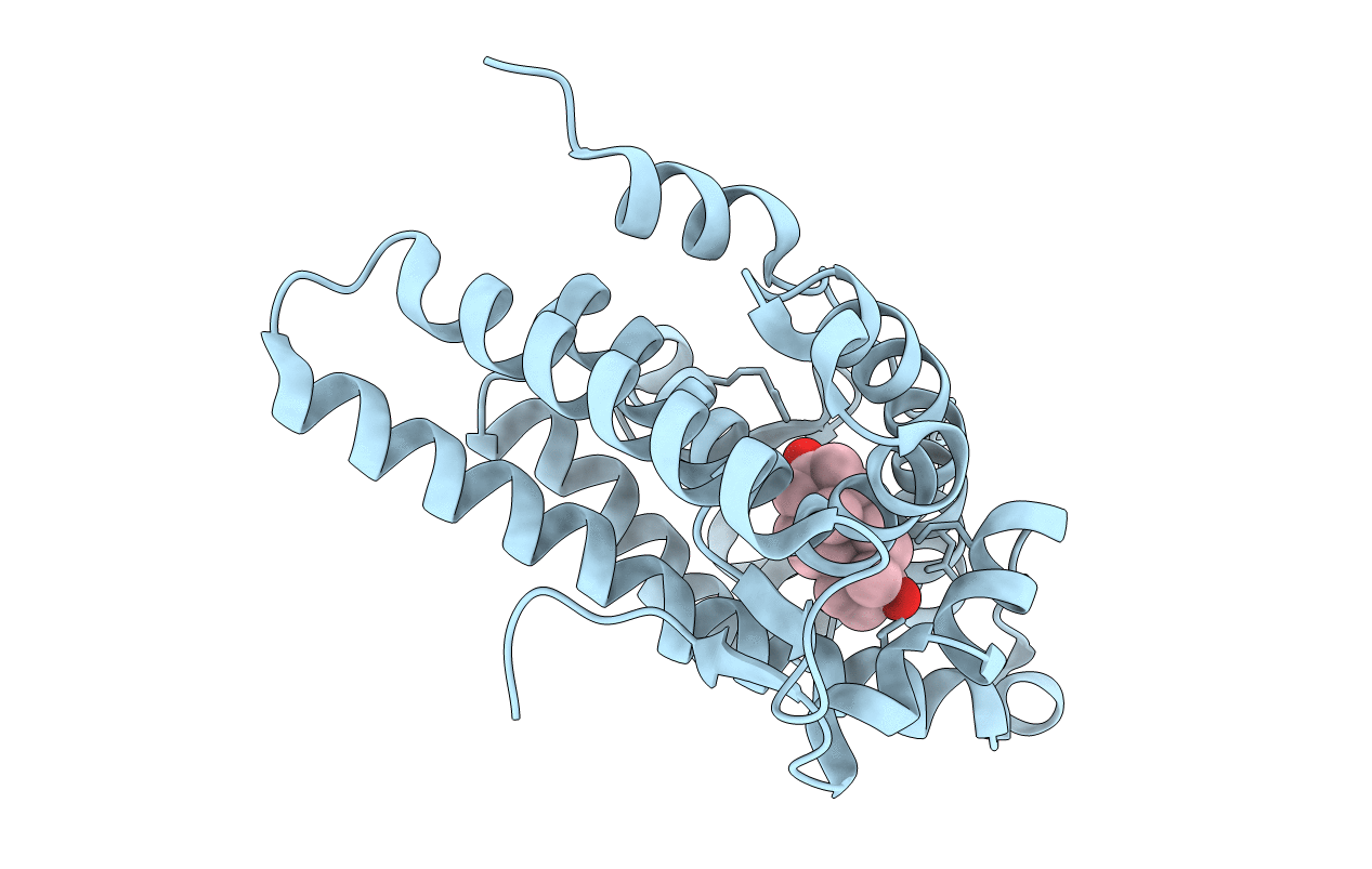1T7T image