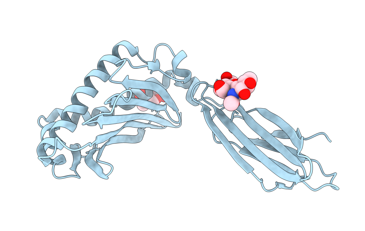 1T7X image