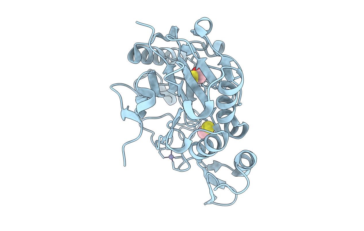 1T8H image