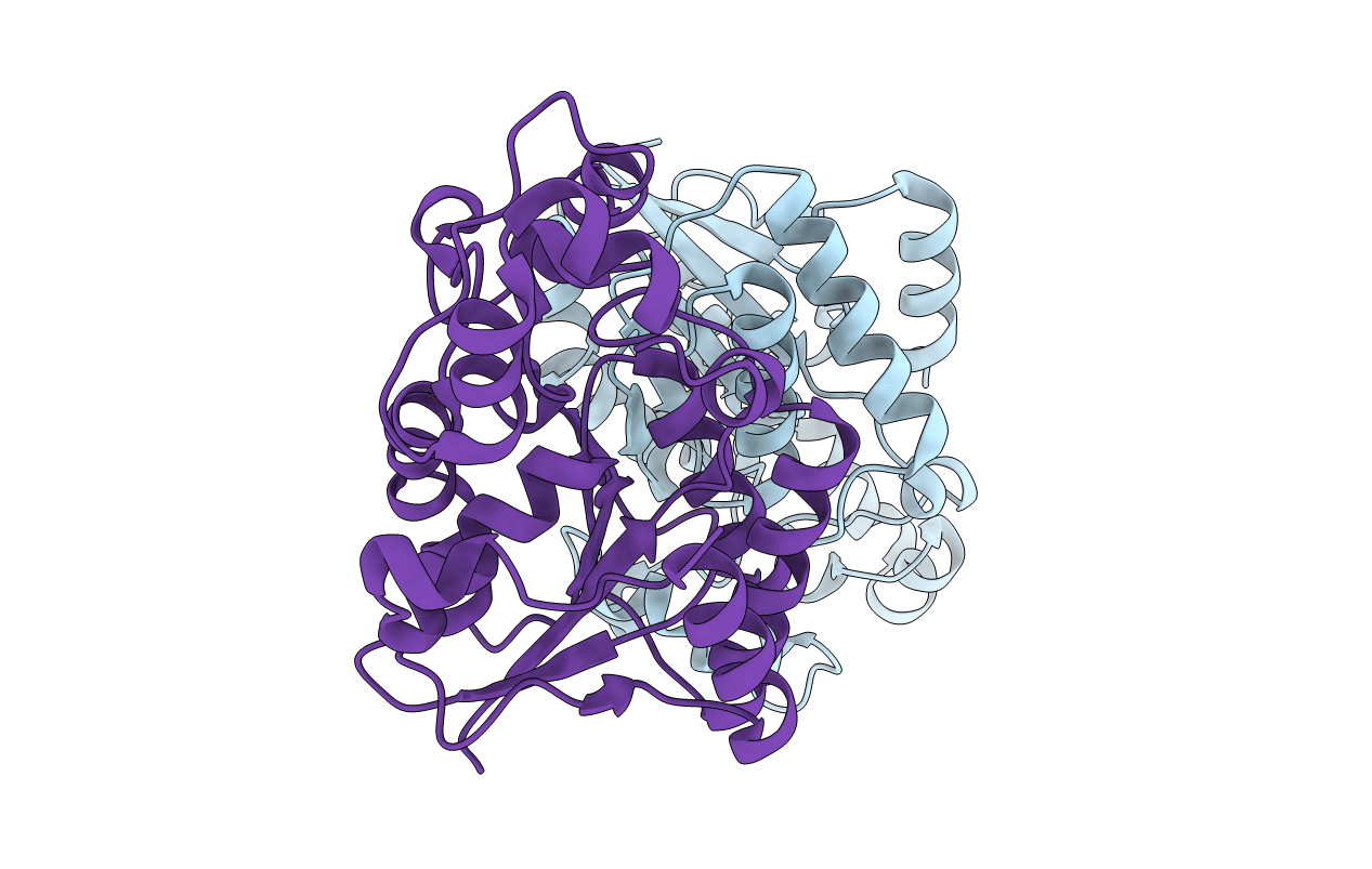 1T8P image