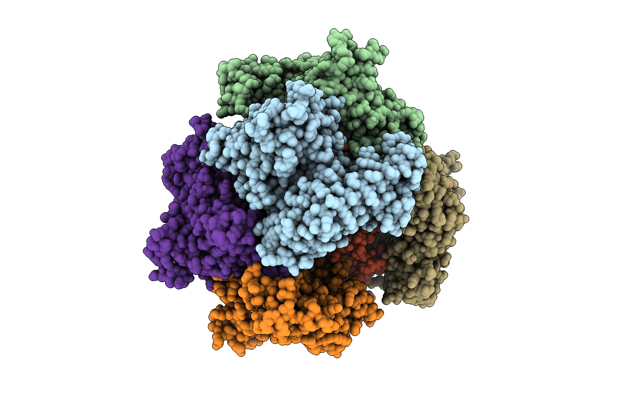 1T8S image