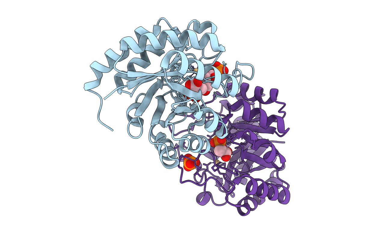 1T8X image
