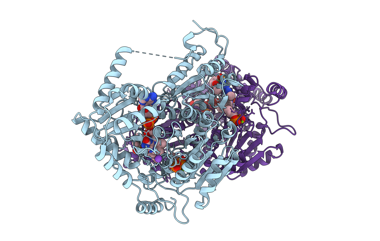 1T9C image