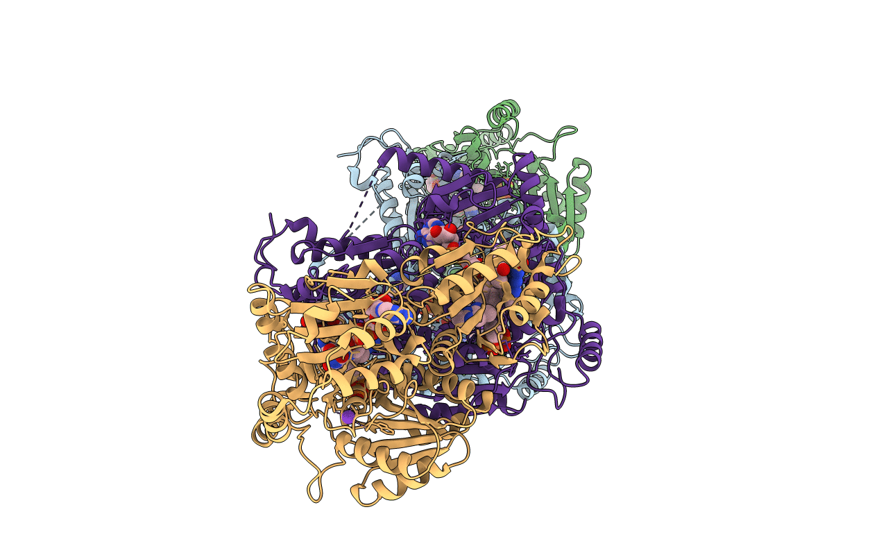 1T9D image