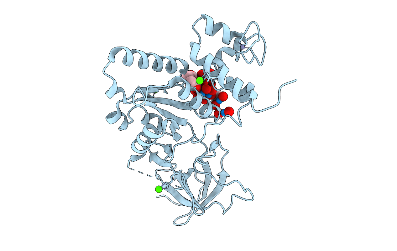 1T9H image
