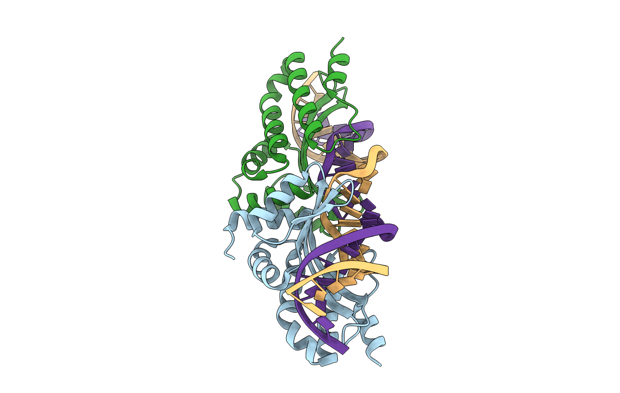 1T9J image