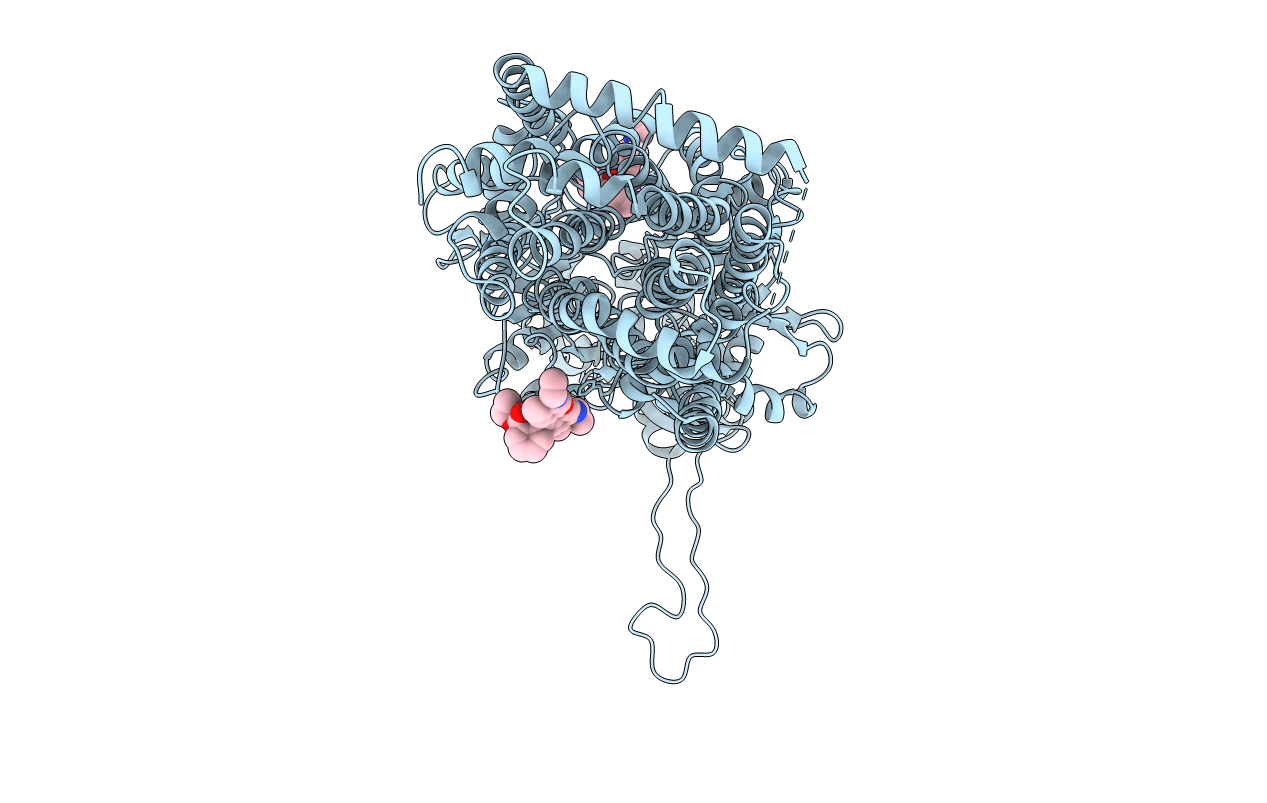 1T9V image