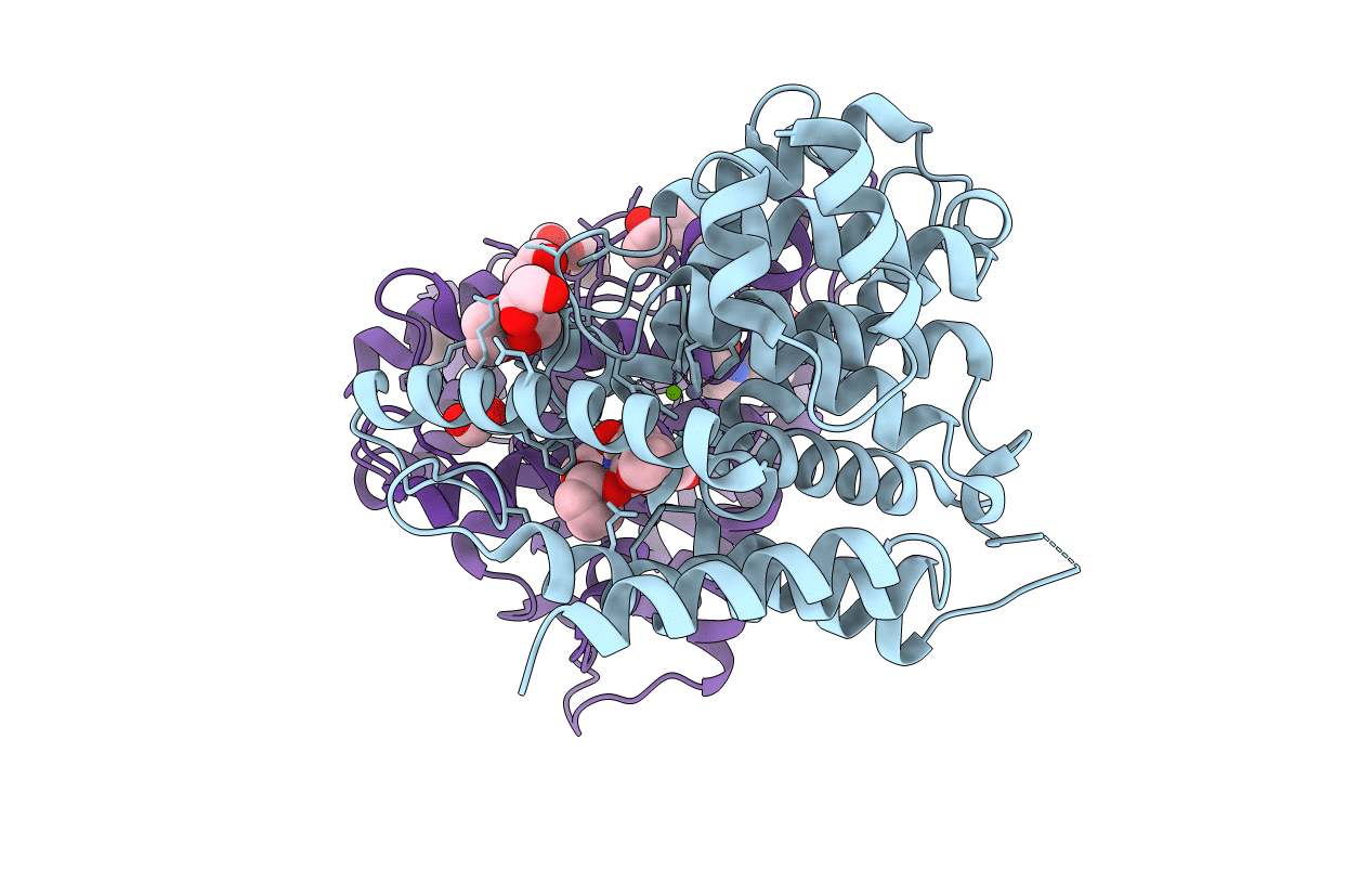 1TBB image