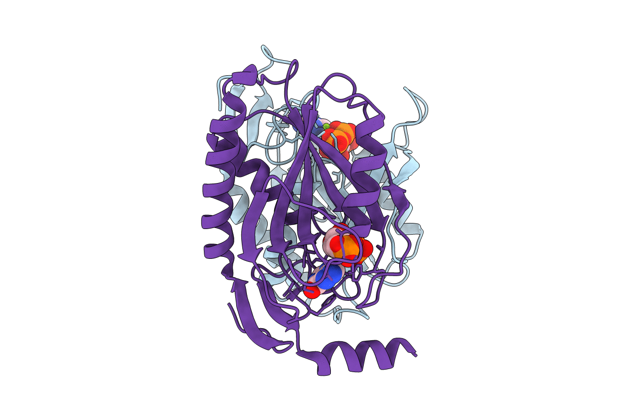 1TC2 image