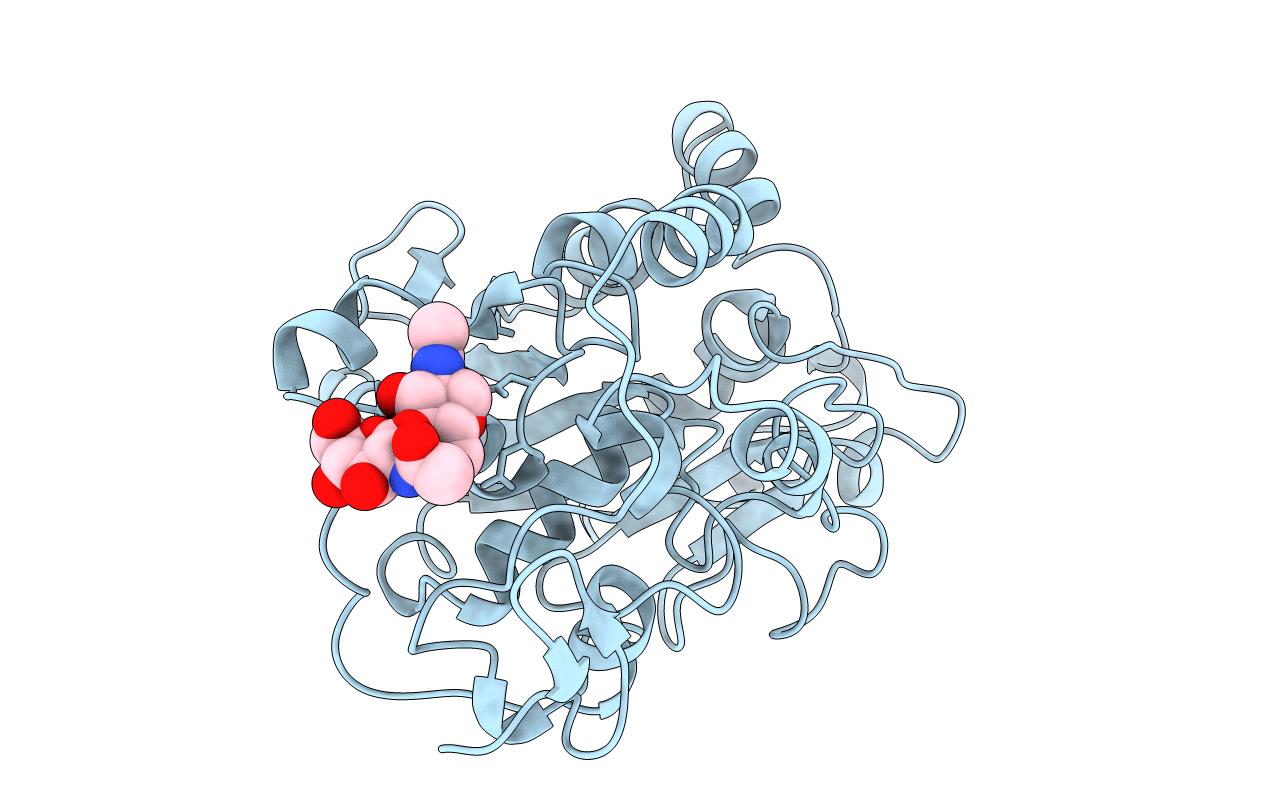 1TCA image