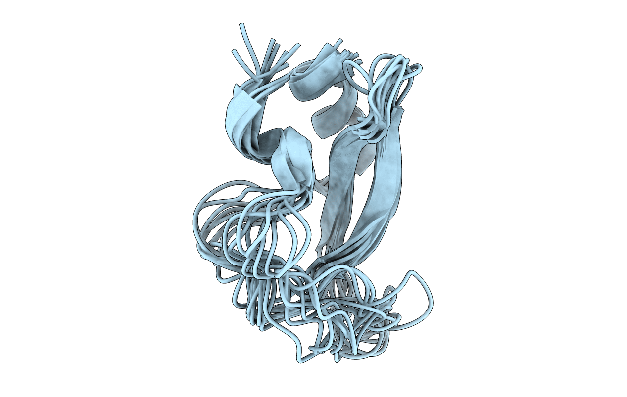 1TCP image