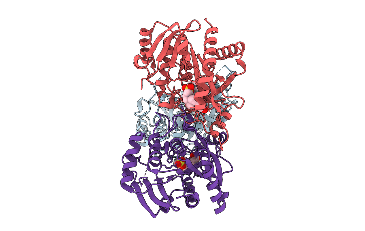 1TCV image