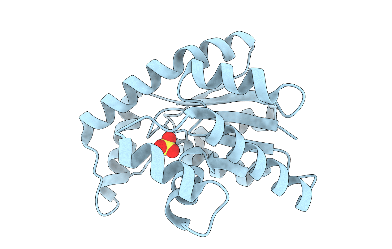 1TEV image