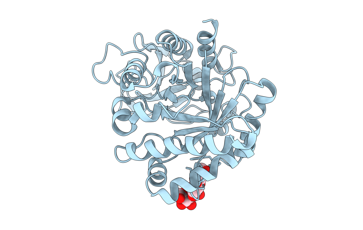 1TFV image