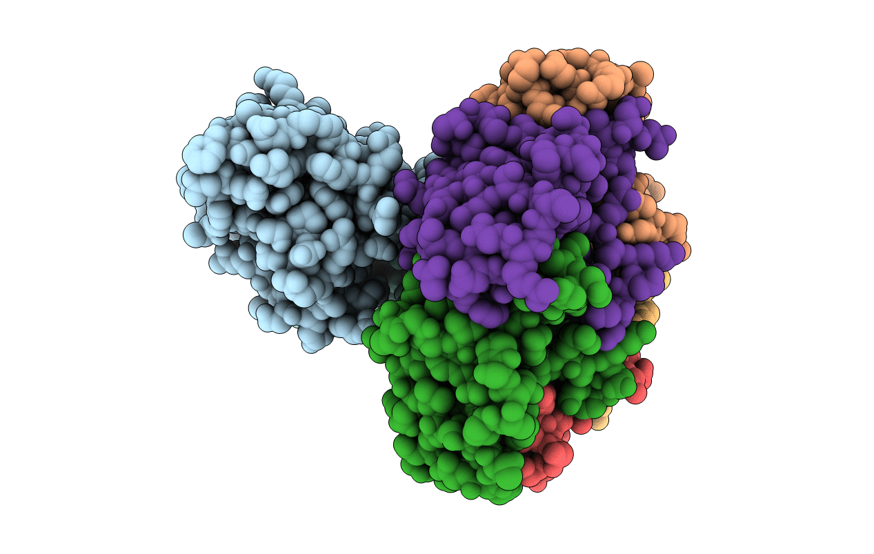1TII image