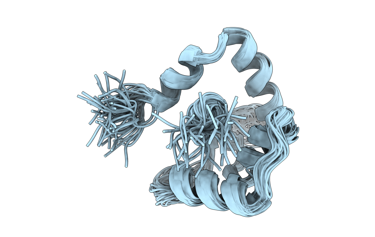 1TNP image