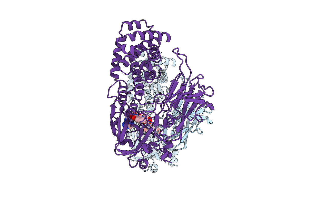 1TOX image