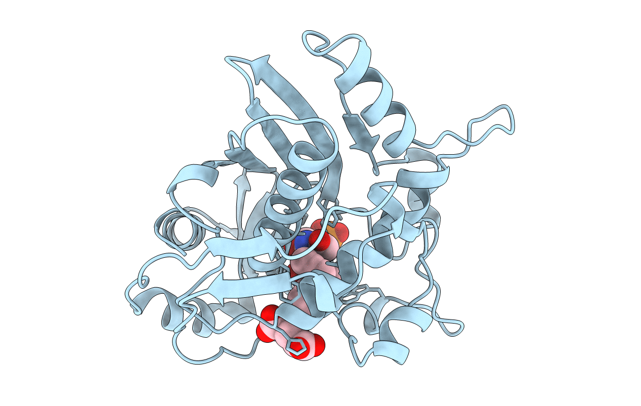1TRG image