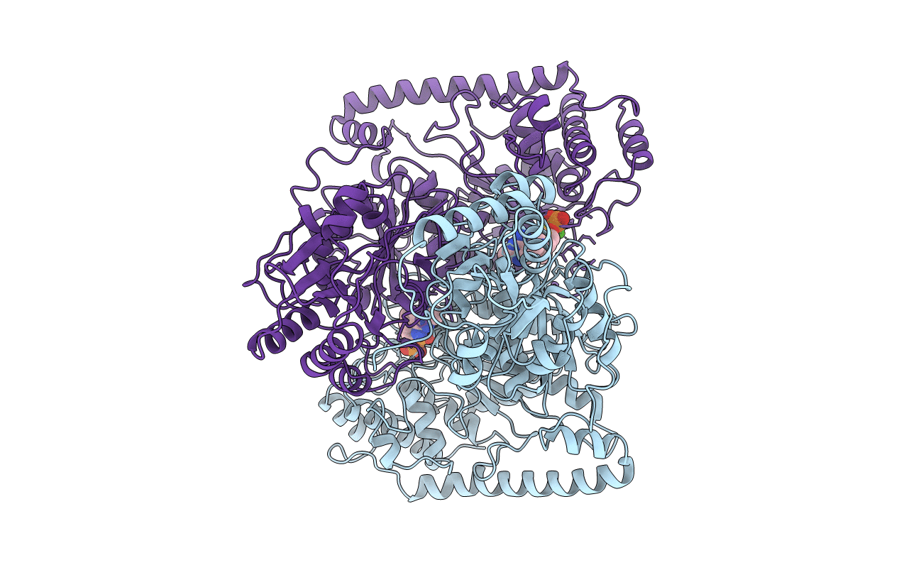 1TRK image