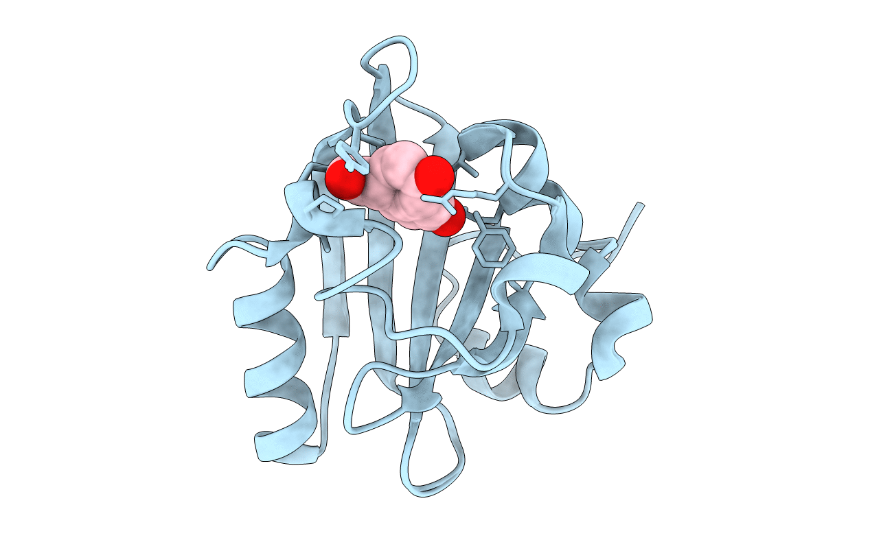 1TS6 image