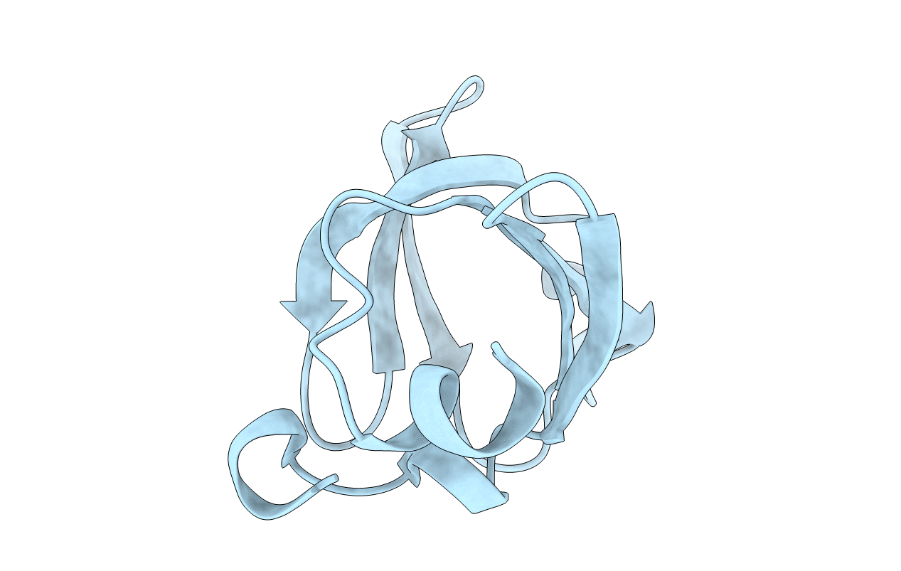 1TSF image