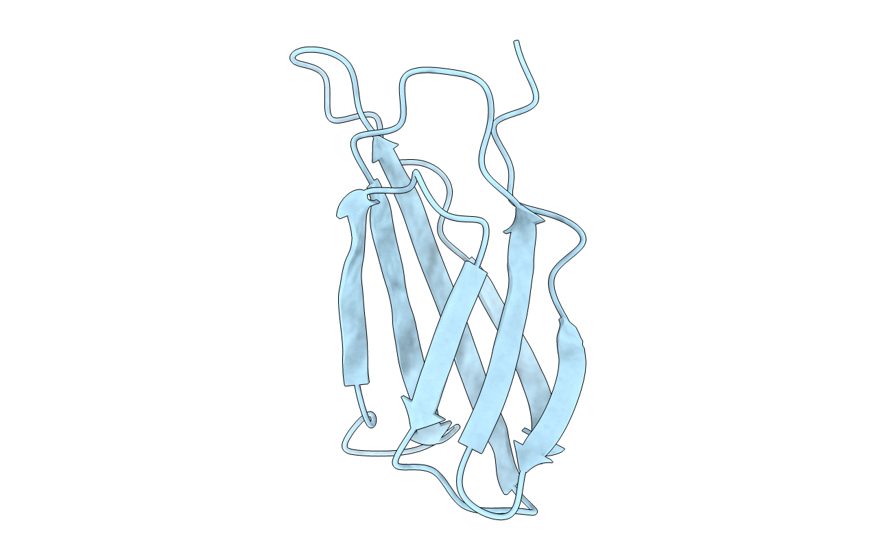 1TTG image