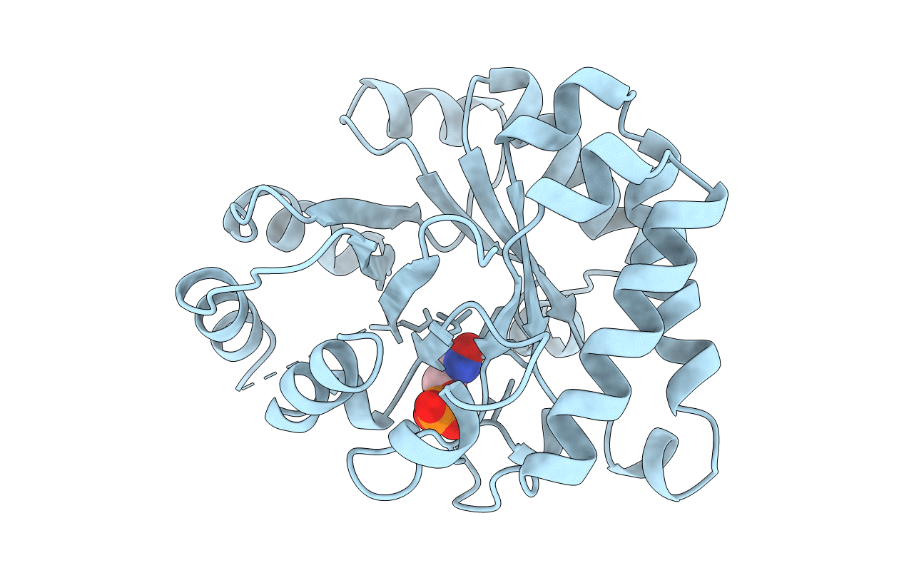1TTJ image