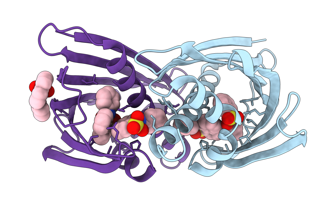 1TXC image