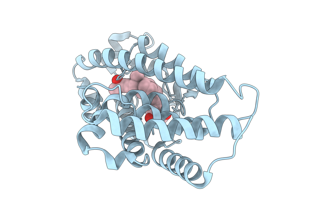 1TXI image